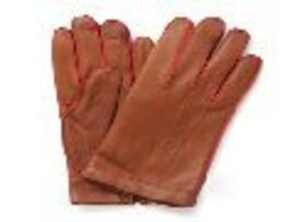 手袋[glove]
